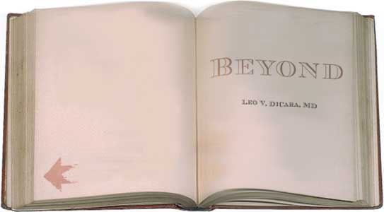 Beyond.jpg (12270 bytes)
